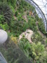Ausblick von der Wipfel-Plattform in das tropische Glashaus Eden Project