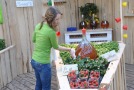 Hochbeet mit frischen Erdbeeren und Basilikum bepflanzt
