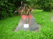 Skulptur eines Vulkans mit Pflanzen im Kegel