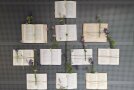 Biodiversität: Blumen für Bienen, die auf Bücher gebunden an der Wand hängen