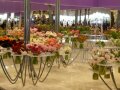 Rosen und vielen Farben auf Glastischen mit integrierten Vasen arrangiert