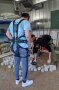 Studierende bücken sich mit dem Exoskelett