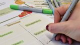 Planung des Gemüsegartens - Jahresverlauf