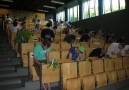 Studierende bestimmen Pflanzen in der Aula