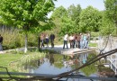 Studierende in der Pause am Teich