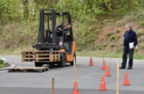 Holzpaletten mit dem Gabelstapler stapeln